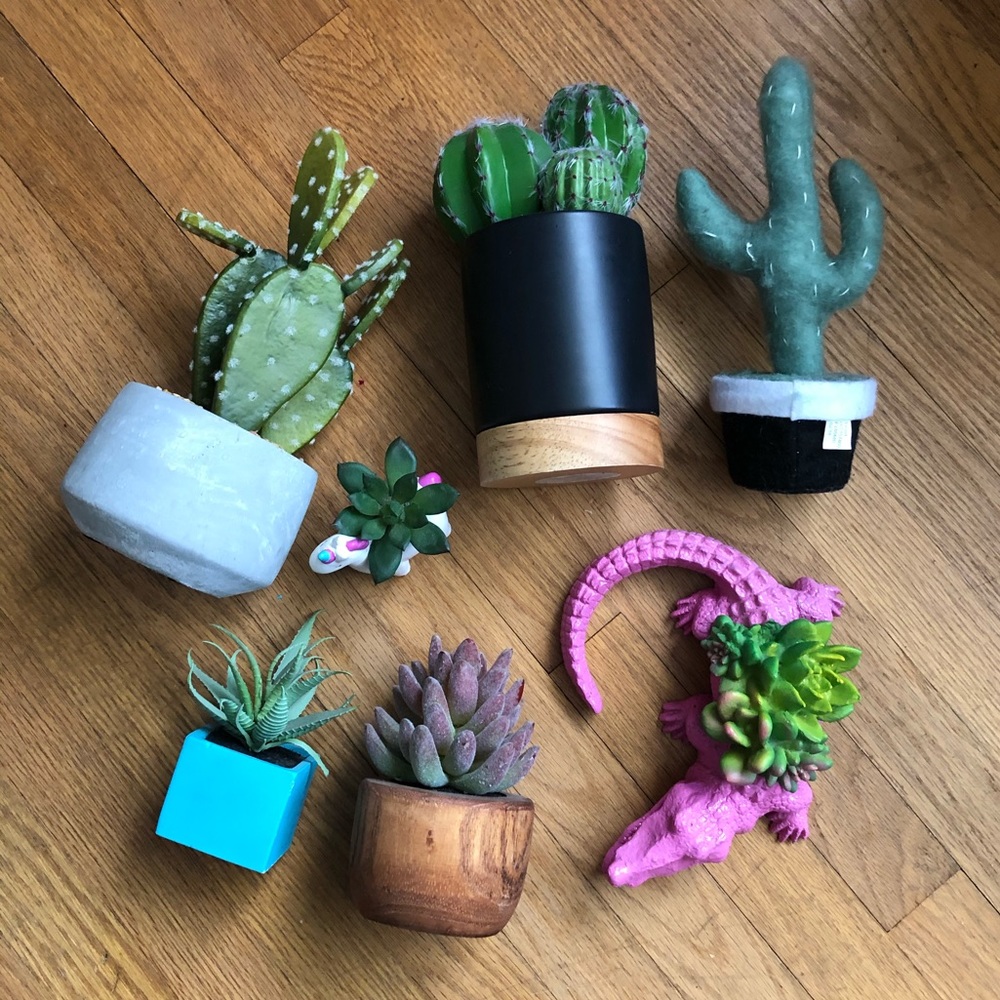 Assorted Faux Succulents
